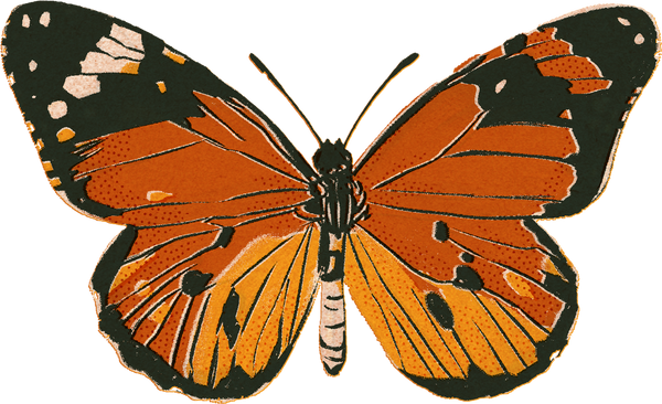 Textured Riso Butterfly 